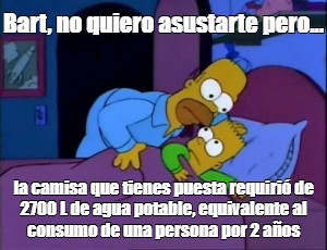 Meme Bart No Quiero Asustarte Pero La Camisa Que Tienes Puesta