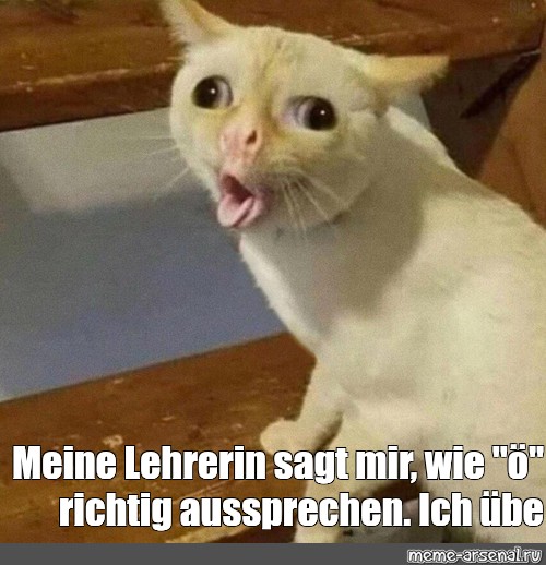 Meme Meine Lehrerin sagt mir wie ö richtig aussprechen Ich übe