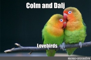 Create Comics Meme Lovebird Lovebird Parrot Lovebird Birds