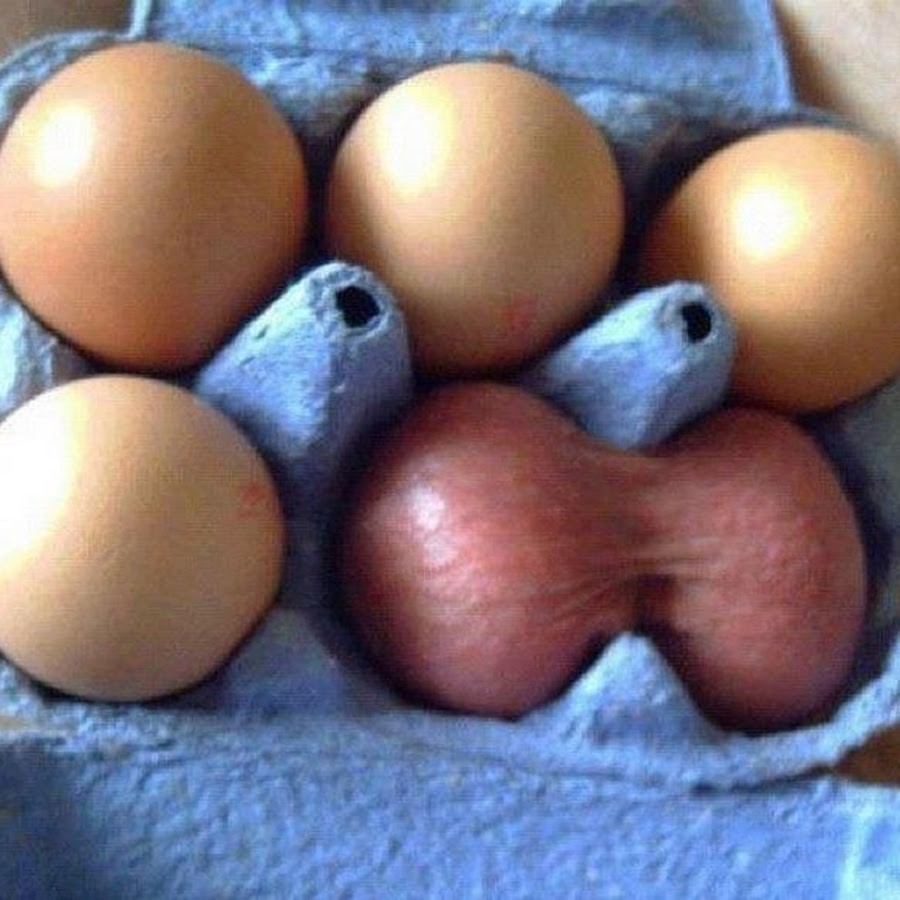 Яйца В Доме Порно