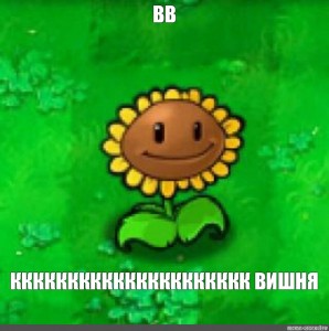 Plants Vs Zombies