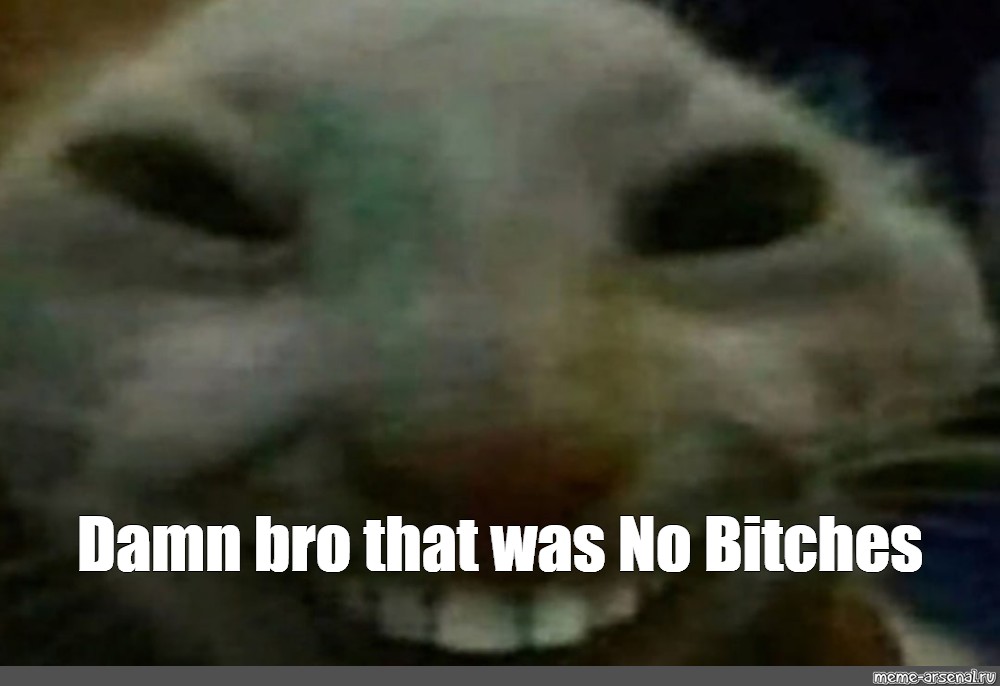 Meme Damn Bro That Was No Bitches All Templates Meme Arsenal