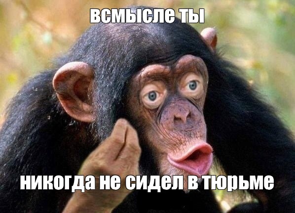 Мем всмысле ты никогда не сидел в тюрьме Все шаблоны Meme