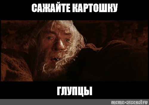 Meme САЖАЙТЕ КАРТОШКУ ГЛУПЦЫ All Templates Meme arsenal