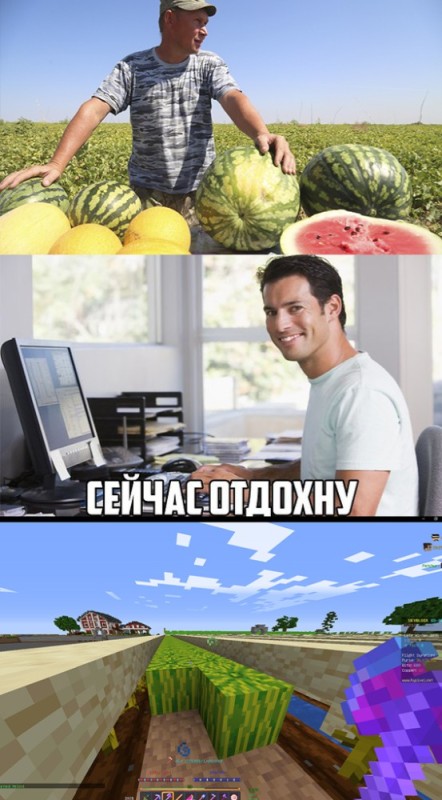 Create meme: I'm going to rest now meme template, watermelon on the field, Astrakhan watermelon