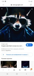 Create meme: cool raccoon with glasses, photo of the raccoon on the Ave in the VC, raccoon on the Ave in the VC