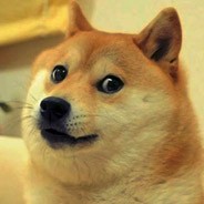 Create meme: doge meme, doge, dog dogs meme