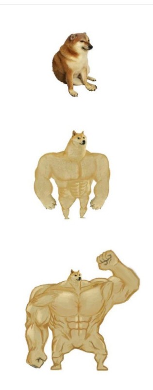 Create meme: the jock from the meme, the pumped-up dog from memes, doge Jock