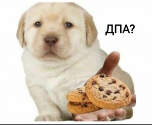 Создать мем: dog, собака, dog meme