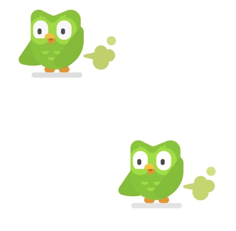 Create meme: owl duolingo, owl duolingo, duolingo duo