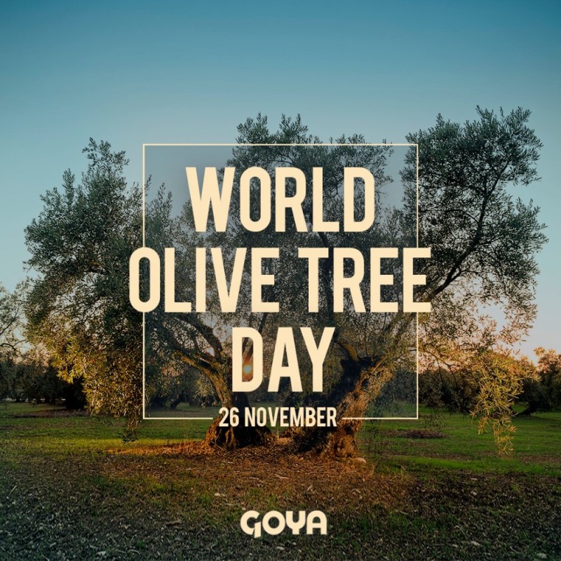 Create meme: the olive tree, the olive tree, olive tree of vouves