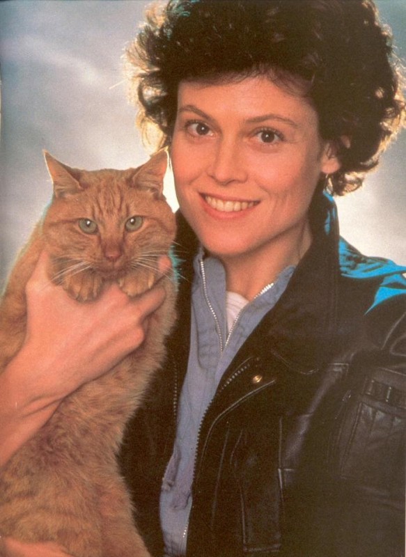 Create meme: Sigourney weaver, sigourney weaver, Sigourney