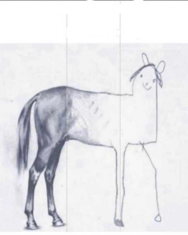 Create meme: the pafinis horse, the finished horse, the pafinis horse meme