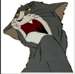 Create meme: Tom from Tom and Jerry meme, tom and jerry tom, tom and jerry memes