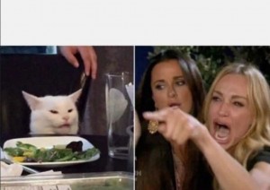 Create meme: meme two women yelling at the cat, MEM woman and the cat, meme with a cat and two women