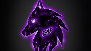 Create meme: wolf purple, wolf neon, wolf neon
