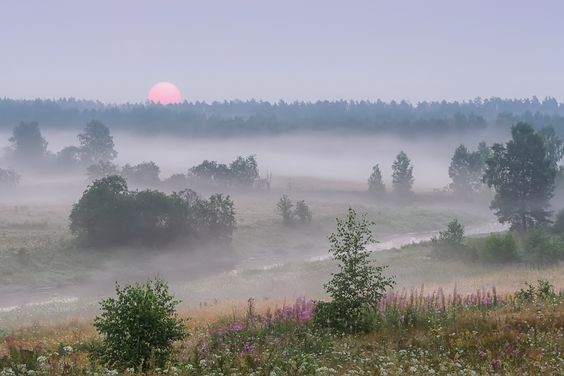 Create meme: landscape fog, nature landscape, fog on the field