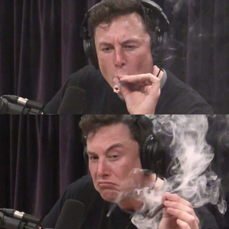 Create meme: elon musk meme, Elon musk with pot, Elon musk smokes pot