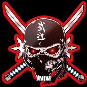 Create meme: clan emblem, the emblem of the skull, skull sticker