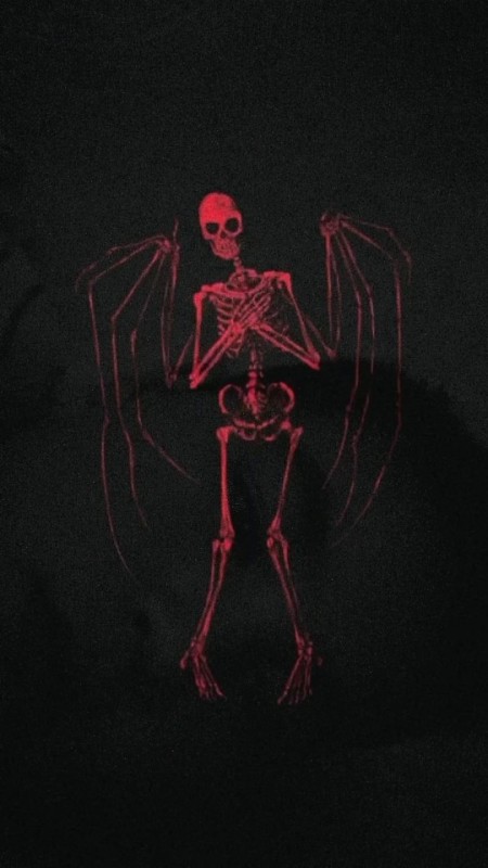 Создать мем: скелет летучей мыши арт персонаж, темнота, берег скелетов