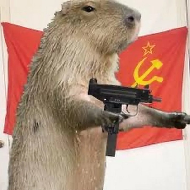 Create meme: capybara with a gun, capybara military, capybara with a gun