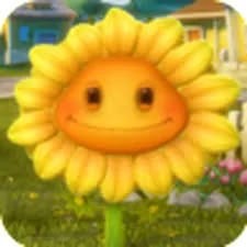 Create meme: sunflower from the game plants vs zombies, sunflower PvZ garden warfare, pvz 2 sunflower