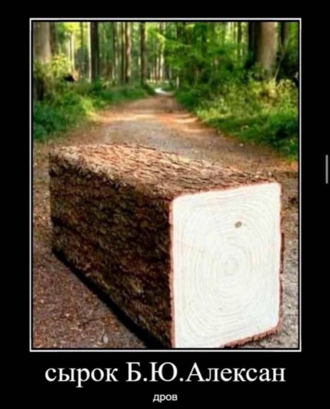 Create meme: square tree, cross-section of a tree , square tree trunk