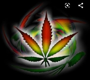 Create meme: cool emblem hemp, hemp 1280 720, marijuana