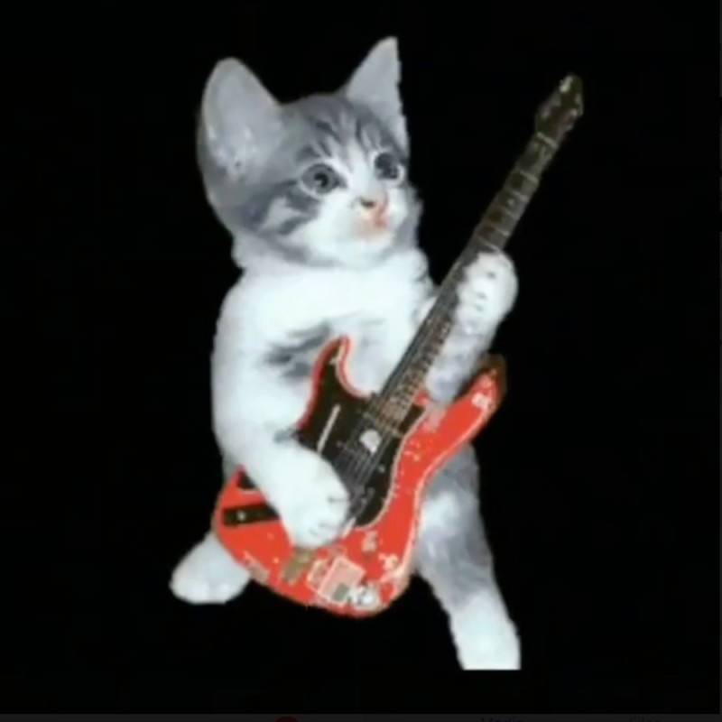 Create meme: cat guitarist, a cat with a guitar, cat with guitar