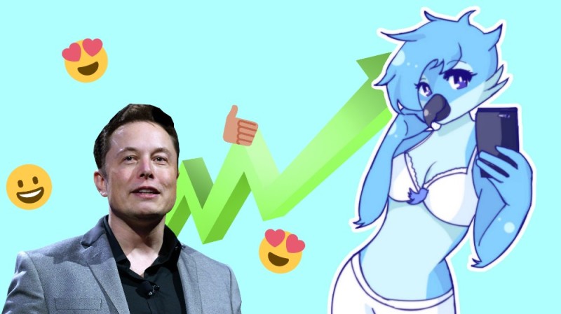 Create meme: tweetfur miles, Twitter , elon musk