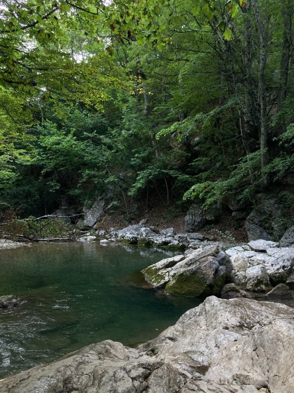 Create meme: wonderful gorge of the khosta river, tiso boxwood grove and devil's gate canyon, sochi gorge