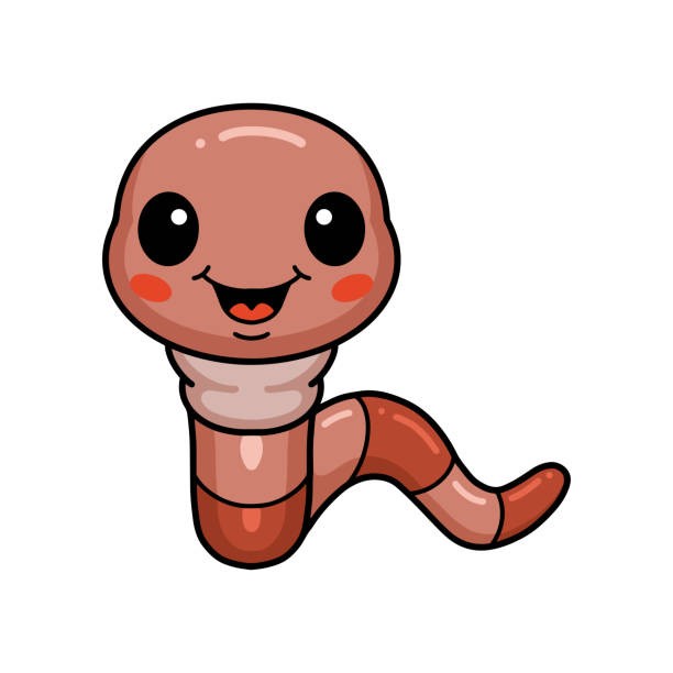 Create meme: worm drawing, worm on a white background, cute illustrations