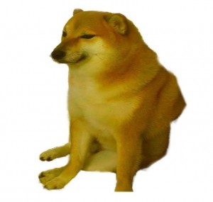 Create meme: sad doge