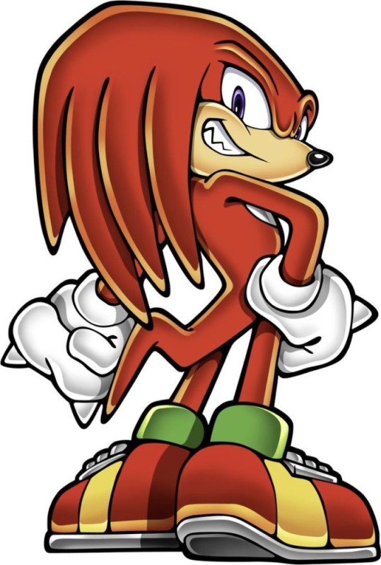 Create meme: echidna knuckles, knuckles, echidna knuckles exe