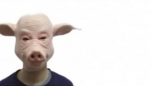 Create meme: the pig mask, latex mask