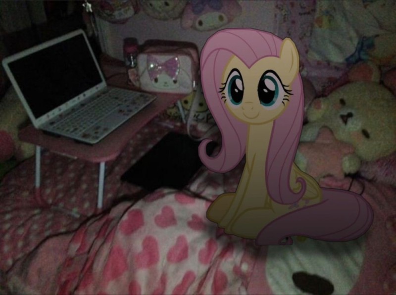Create meme: fluttershy Princess, my little pony fluttershy , fluttershy pony 