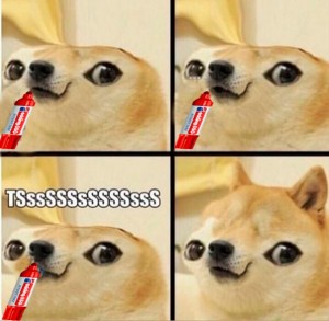 Создать мем: гиф doge meme, doge wow, doge roblox