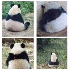 Create meme: you offended no, honey are you mad, Panda sad