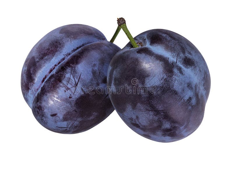 Create meme: plum blue, plum fruit, plums on a white background