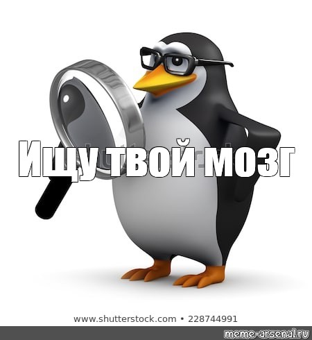 Ищу мозги на Лягуху)