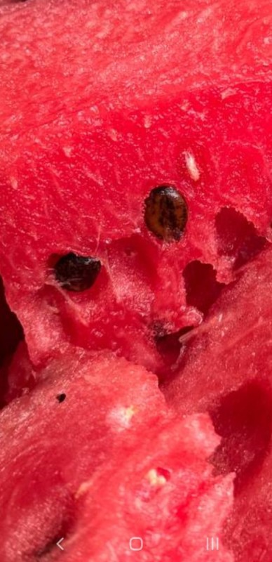 Create meme: watermelon pulp, watermelon, red watermelon