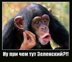 Create meme: monkey with lips, monkey chimp, the monkey asks