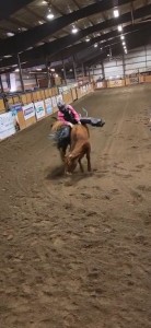 Create meme: horse, Rodeo, Rodeo on bulls accidents