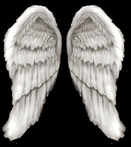 Create meme: white wings, wings, angel wings