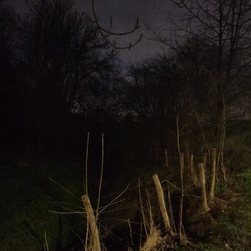 Create meme: nature , dark forest, the landscape is dark