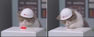 Create meme: the cat in the helmet presses a button, cats, Cat
