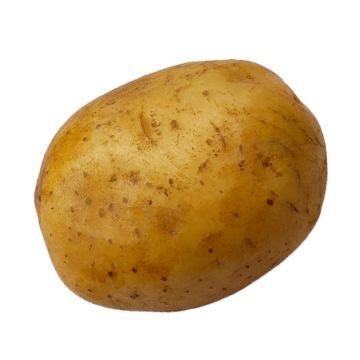 Create meme: potatoes on white background, potatoes on a transparent background, potatoes for children