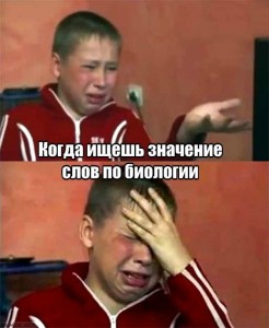 Create meme: Sashko Fokin why?, Sashko Fokin Joker, Sashko Fokin upset