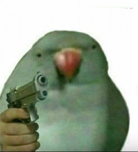Создать мем: попугай строитель мем, попугай мем, мемы попугай с пистолетом