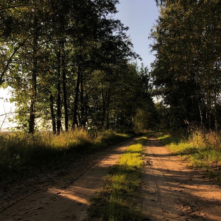 Create meme: the nature of the road, forest roads, forest road